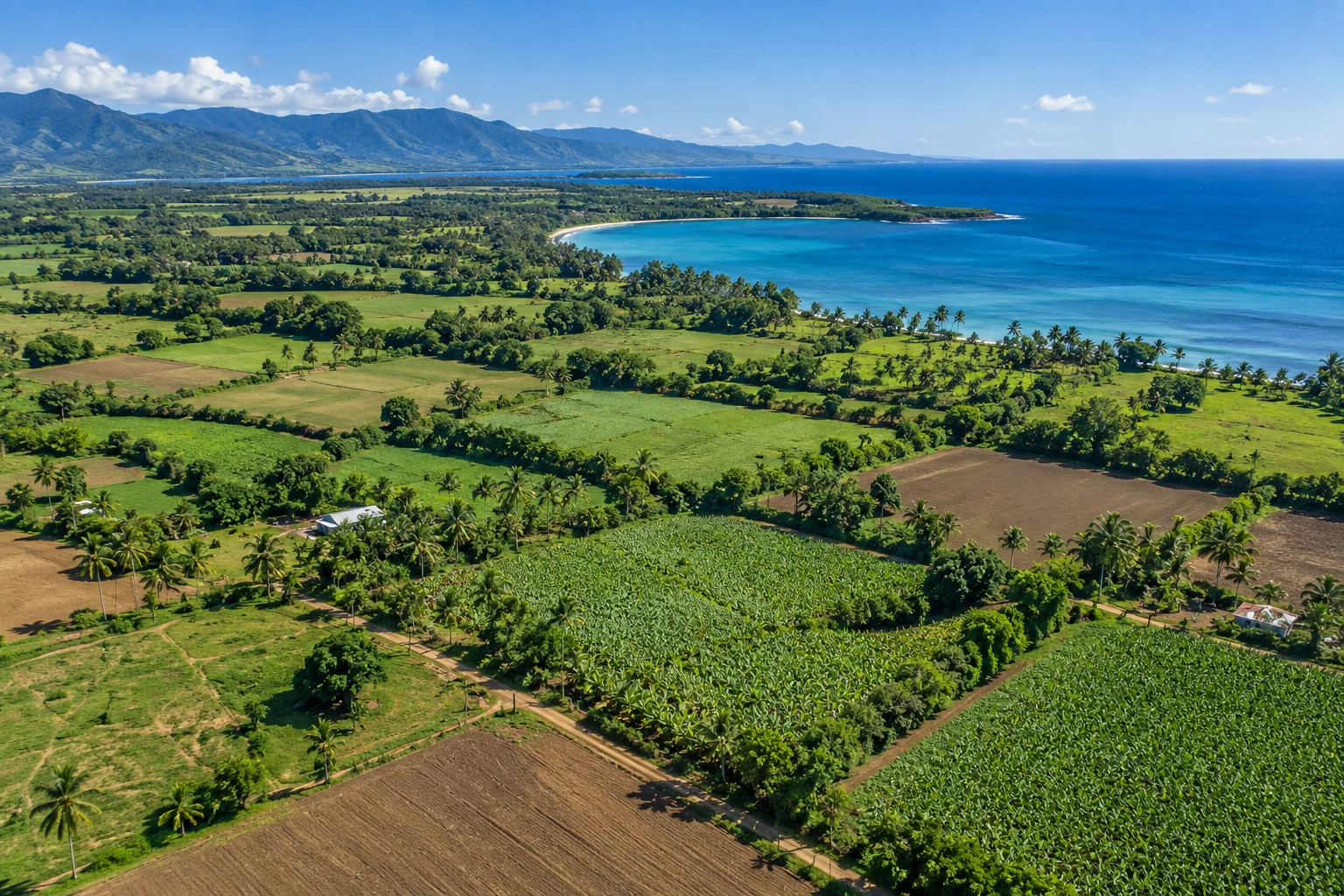 Paisaje de parcelas agrícolas del Caribe